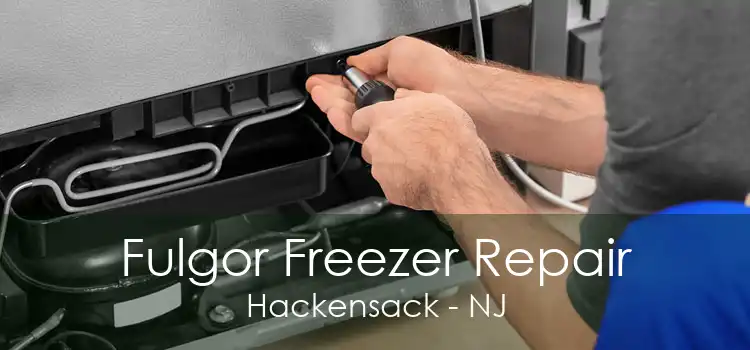 Fulgor Freezer Repair Hackensack - NJ